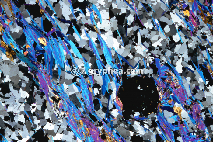 Micaschiste à grenats LPA x4 - gryphea.com